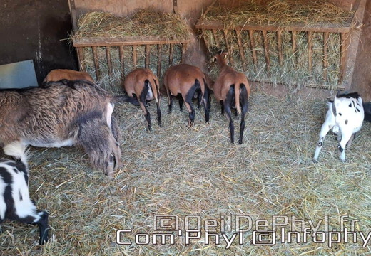 Bioparc de Doué la fontaine