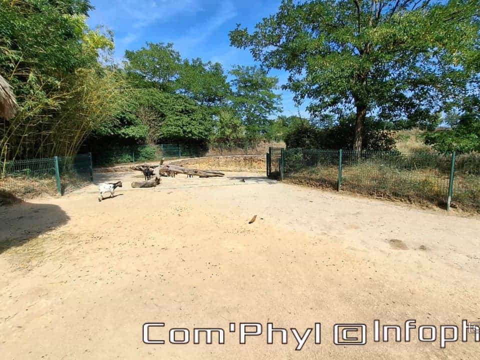 Bioparc de Doué la fontaine