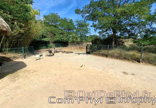 Bioparc de Doué la fontaine