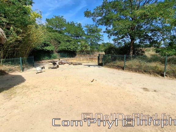 Bioparc de Doué la fontaine