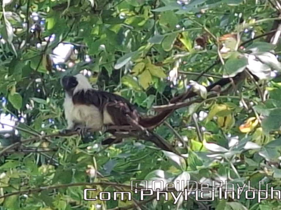 Bioparc de Doué la fontaine