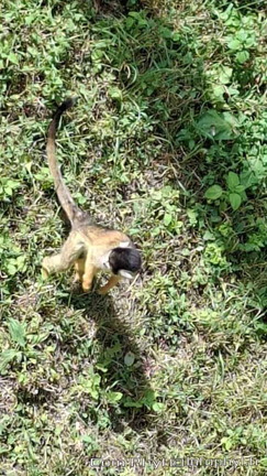 Bioparc de Doué la fontaine