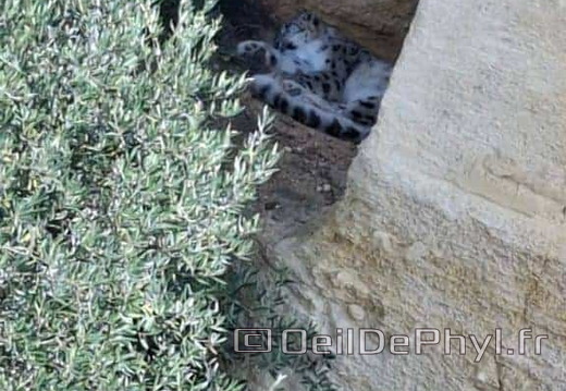 Bioparc de Doué la fontaine