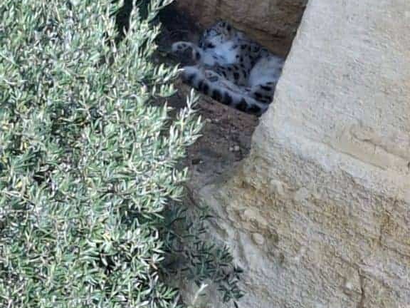 Bioparc de Doué la fontaine