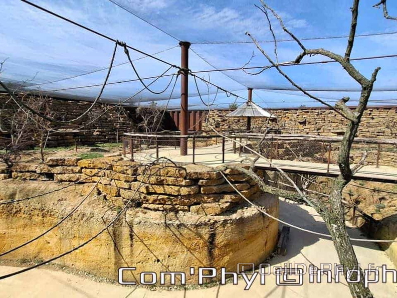 Bioparc de Doué la fontaine