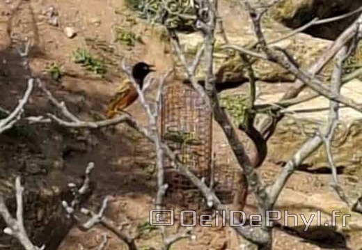 Bioparc de Doué la fontaine