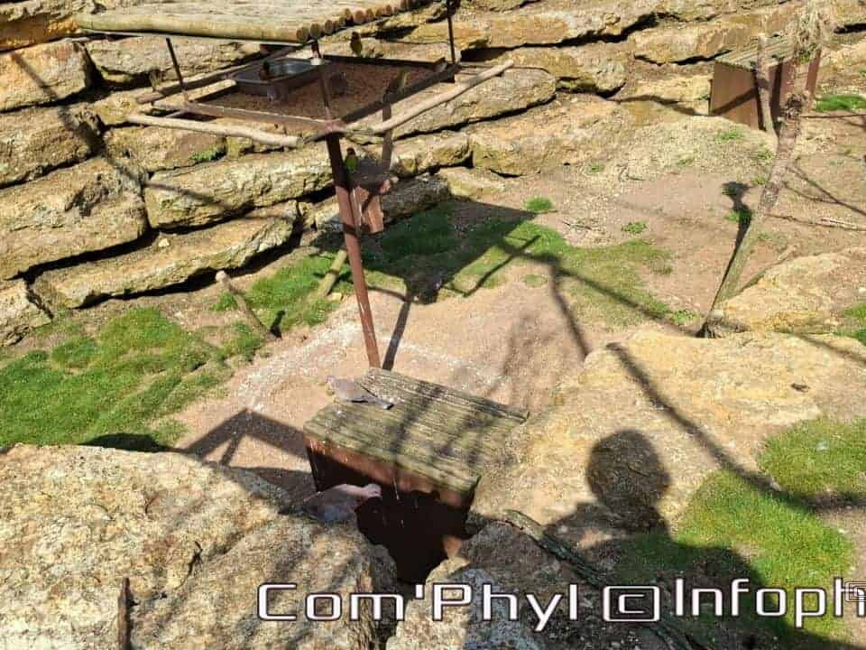 Bioparc de Doué la fontaine