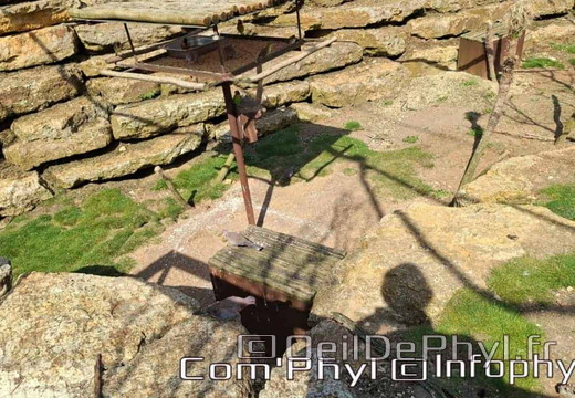 Bioparc de Doué la fontaine