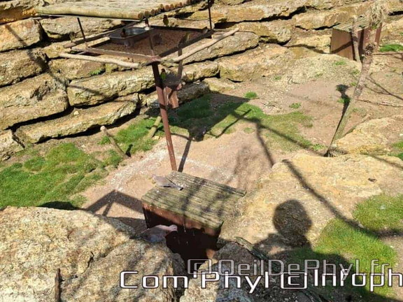 Bioparc de Doué la fontaine