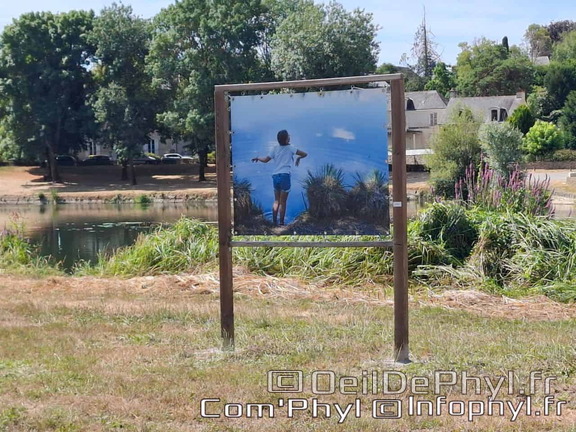 comphyl-novart2025-16