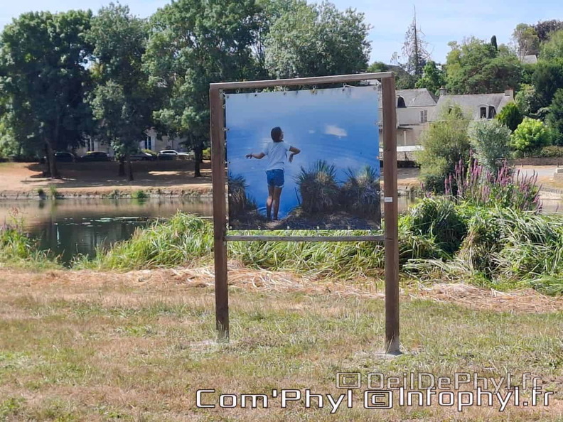 comphyl-novart2025-16