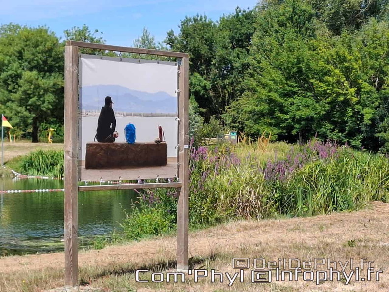 comphyl-novart2025-15