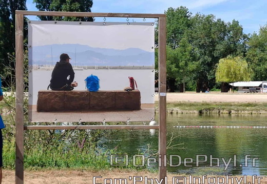 comphyl-novart2025-17