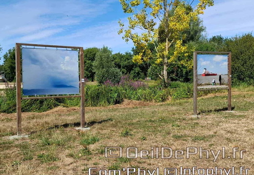 comphyl-novart2025-18