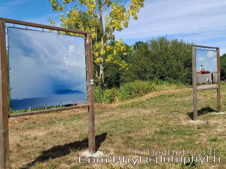 comphyl-novart2025-19