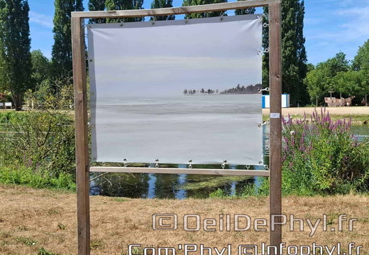 comphyl-novart2025-20