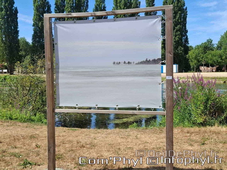 comphyl-novart2025-20