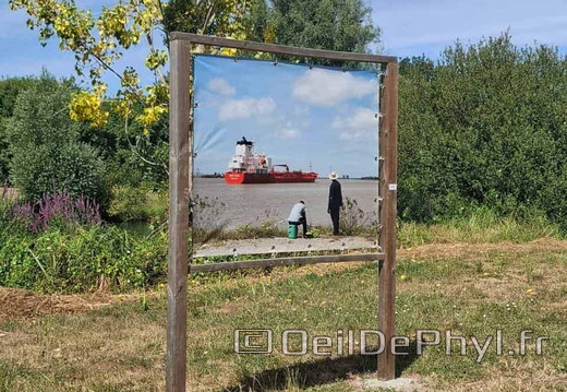 comphyl-novart2025-21