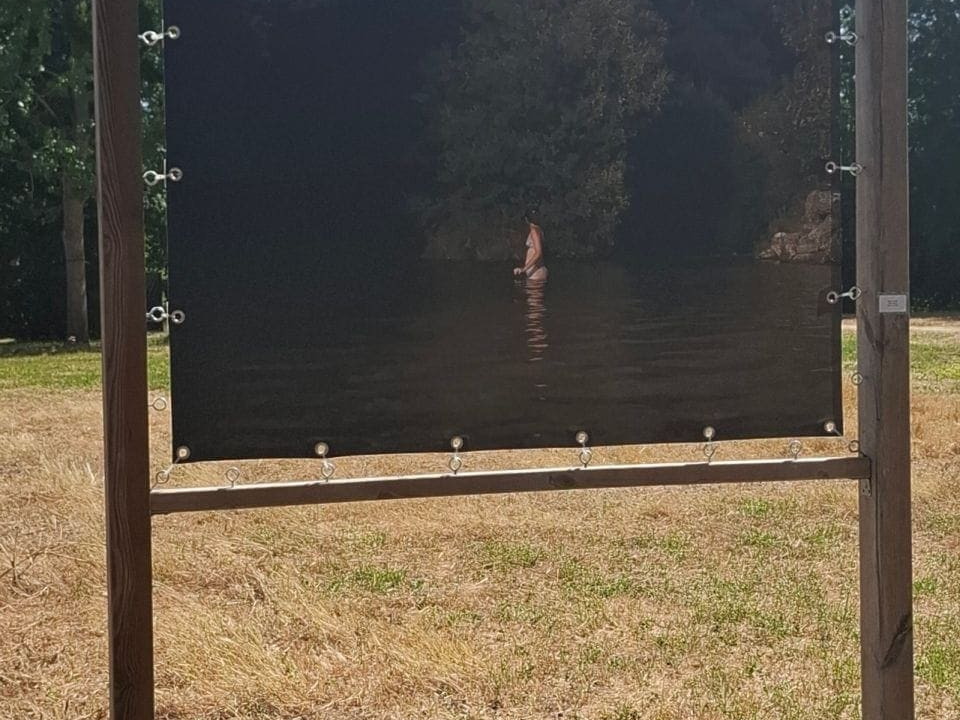 comphyl-novart2025-25