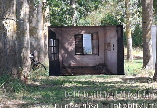 comphyl-novart2025-28