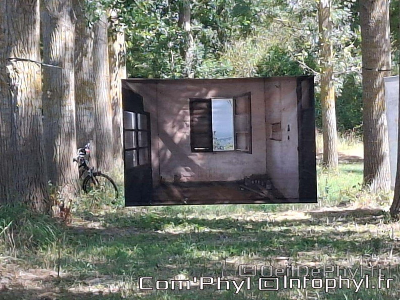 comphyl-novart2025-28