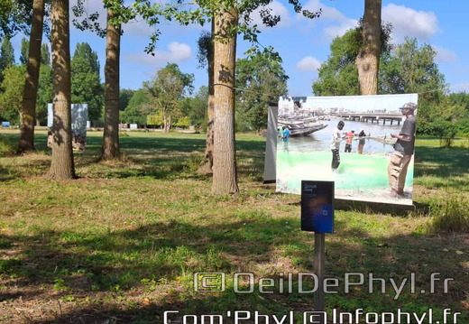 comphyl-novart2025-49