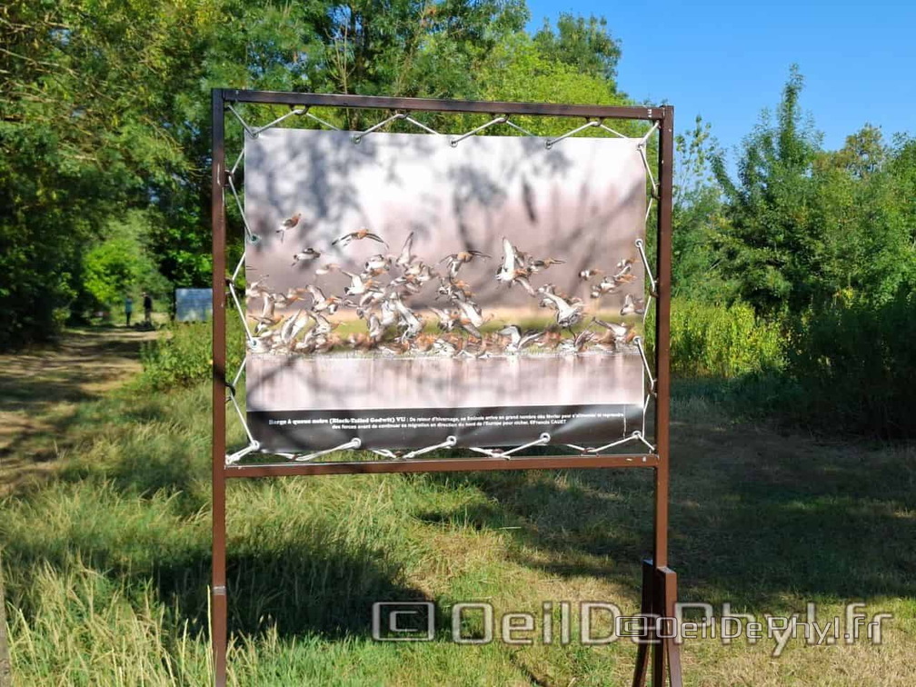 Novart2025-Francis-Cauet-01