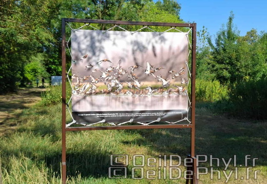 Novart2025-Francis-Cauet-01