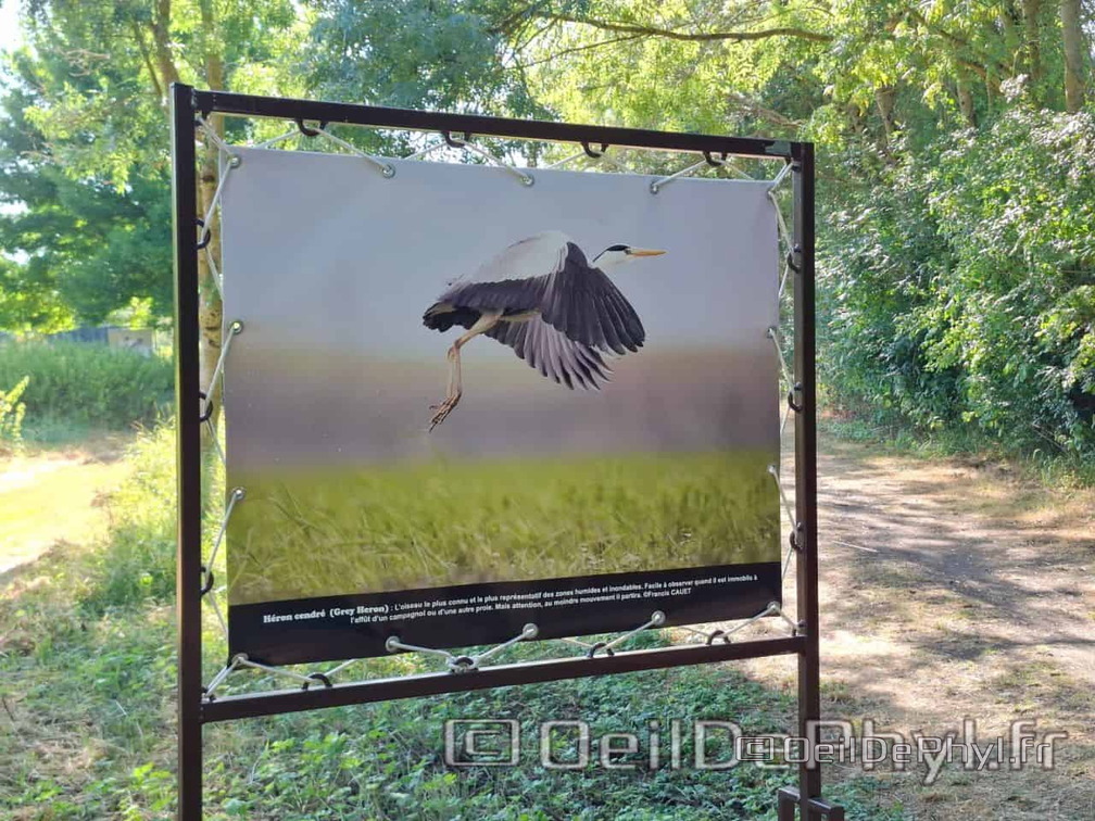 Novart2025-Francis-Cauet-04