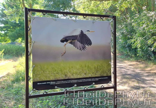 Novart2025-Francis-Cauet-04