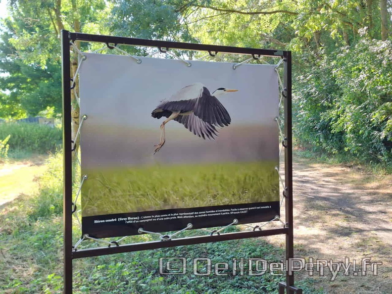 Novart2025-Francis-Cauet-04