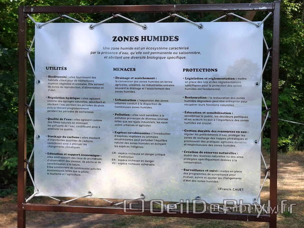 Novart2025-Francis-Cauet-03