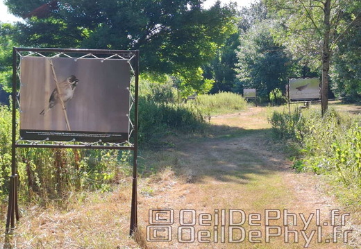 Novart2025-Francis-Cauet-05