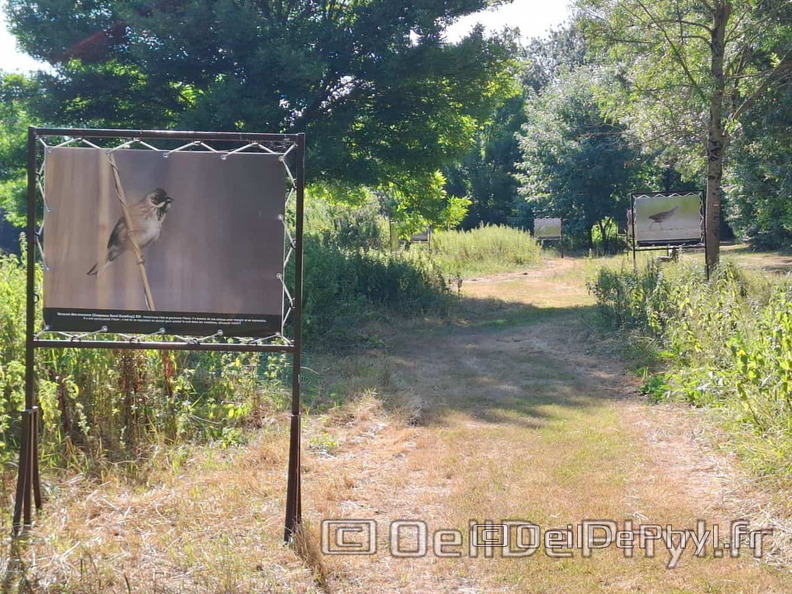 Novart2025-Francis-Cauet-05