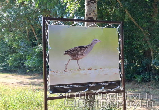 Novart2025-Francis-Cauet-07