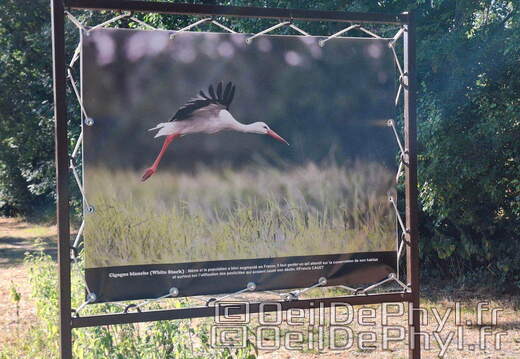 Novart2025-Francis-Cauet-08