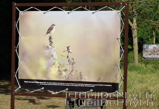 Novart2025-Francis-Cauet-10