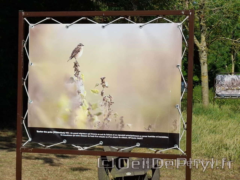 Novart2025-Francis-Cauet-10