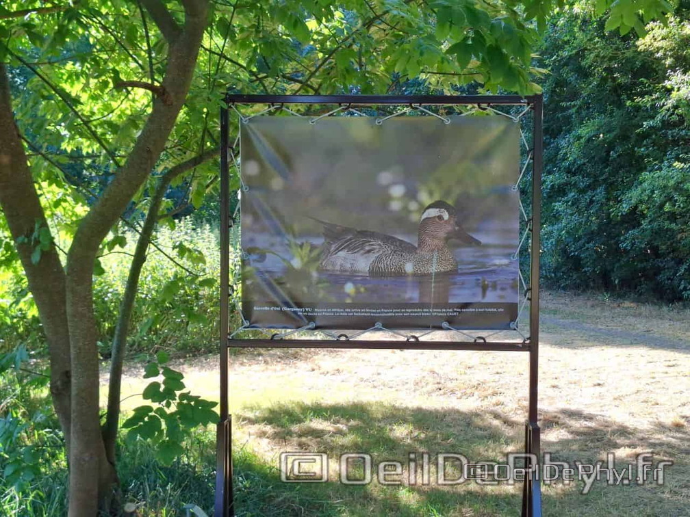 Novart2025-Francis-Cauet-12