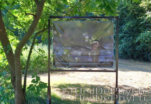 Novart2025-Francis-Cauet-12