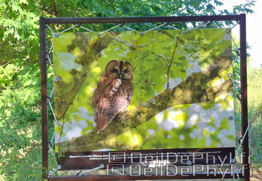 Novart2025-Francis-Cauet-15