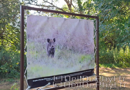 Novart2025-Francis-Cauet-16