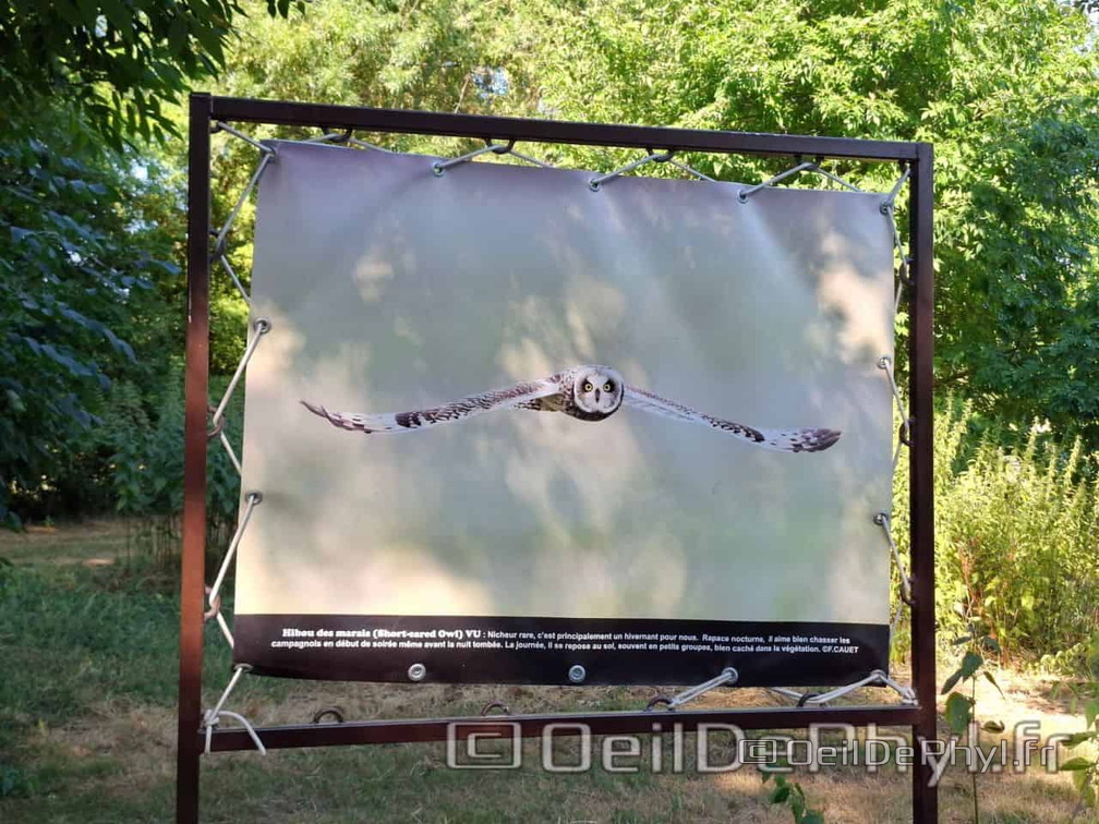 Novart2025-Francis-Cauet-17