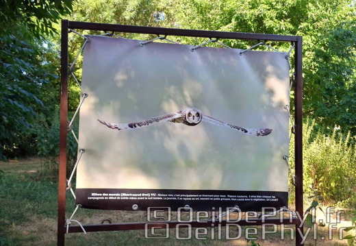 Novart2025-Francis-Cauet-17