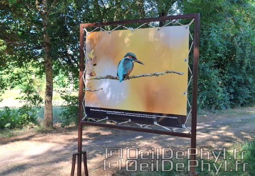 Novart2025-Francis-Cauet-18