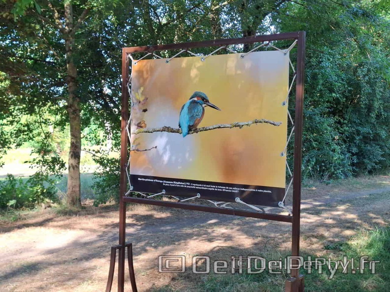 Novart2025-Francis-Cauet-18