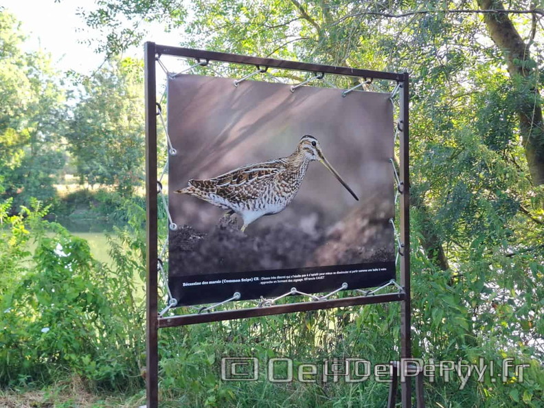 Novart2025-Francis-Cauet-19