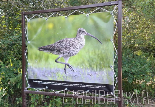 Novart2025-Francis-Cauet-20