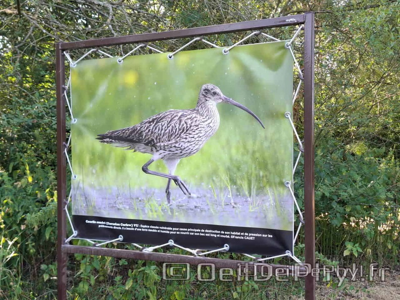 Novart2025-Francis-Cauet-20