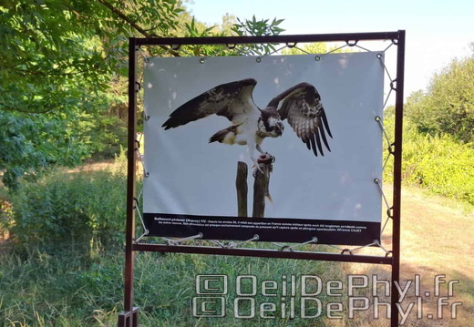 Novart2025-Francis-Cauet-21